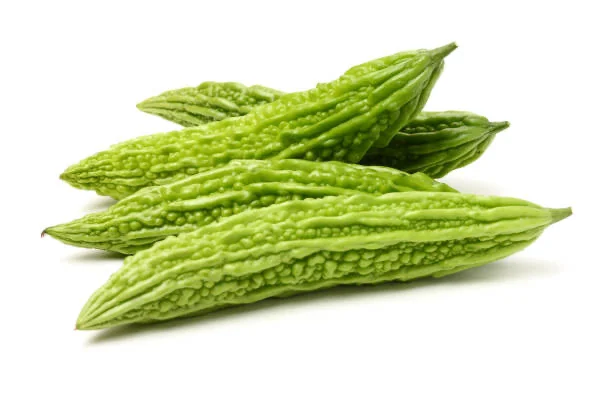 Bitter Gourd