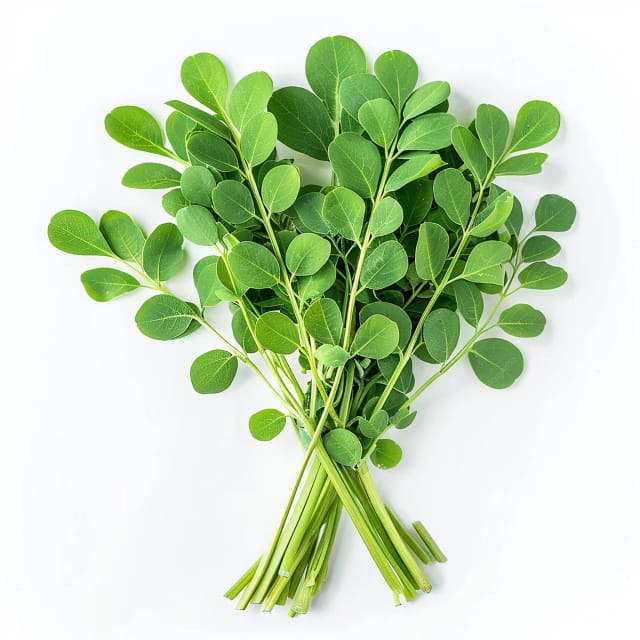 Drumstick Leaves