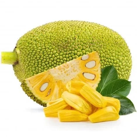 Jack Fruit
