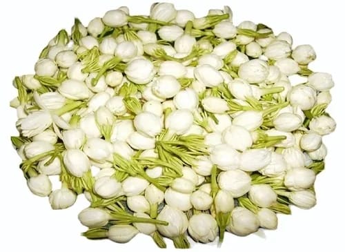 Jasmine Flower