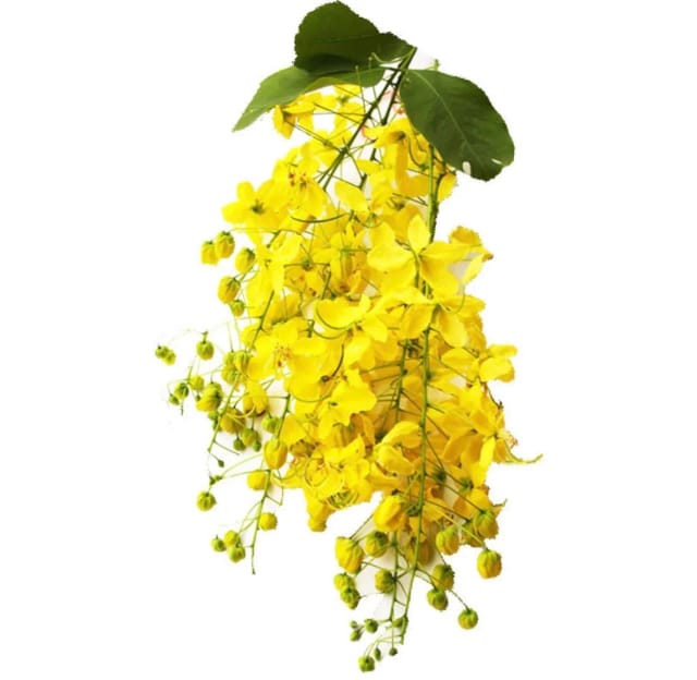 Konna Flower