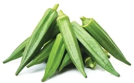 Ladies Finger (Okra)