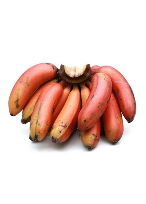 Red Poovan Banana
