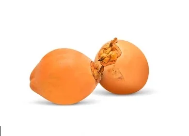 Tender Coconut